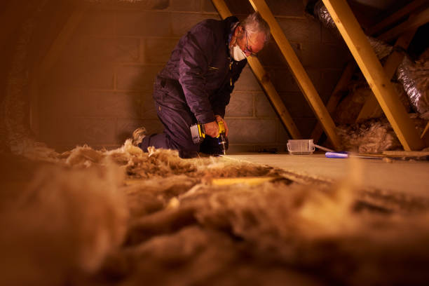 Best Eco-Friendly Insulation in Dayton, WA