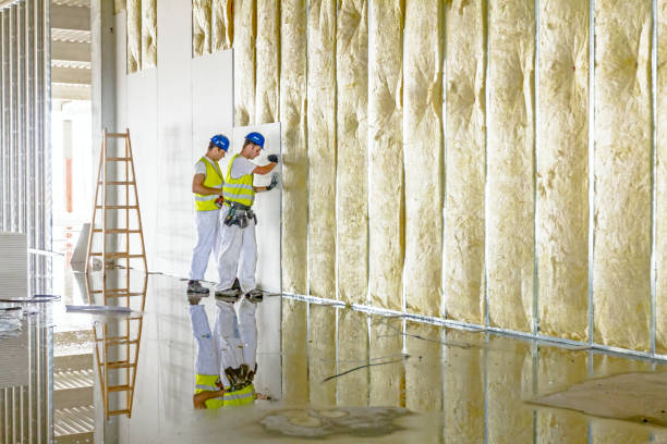 Types of Insulation We Offer in Dayton, WA